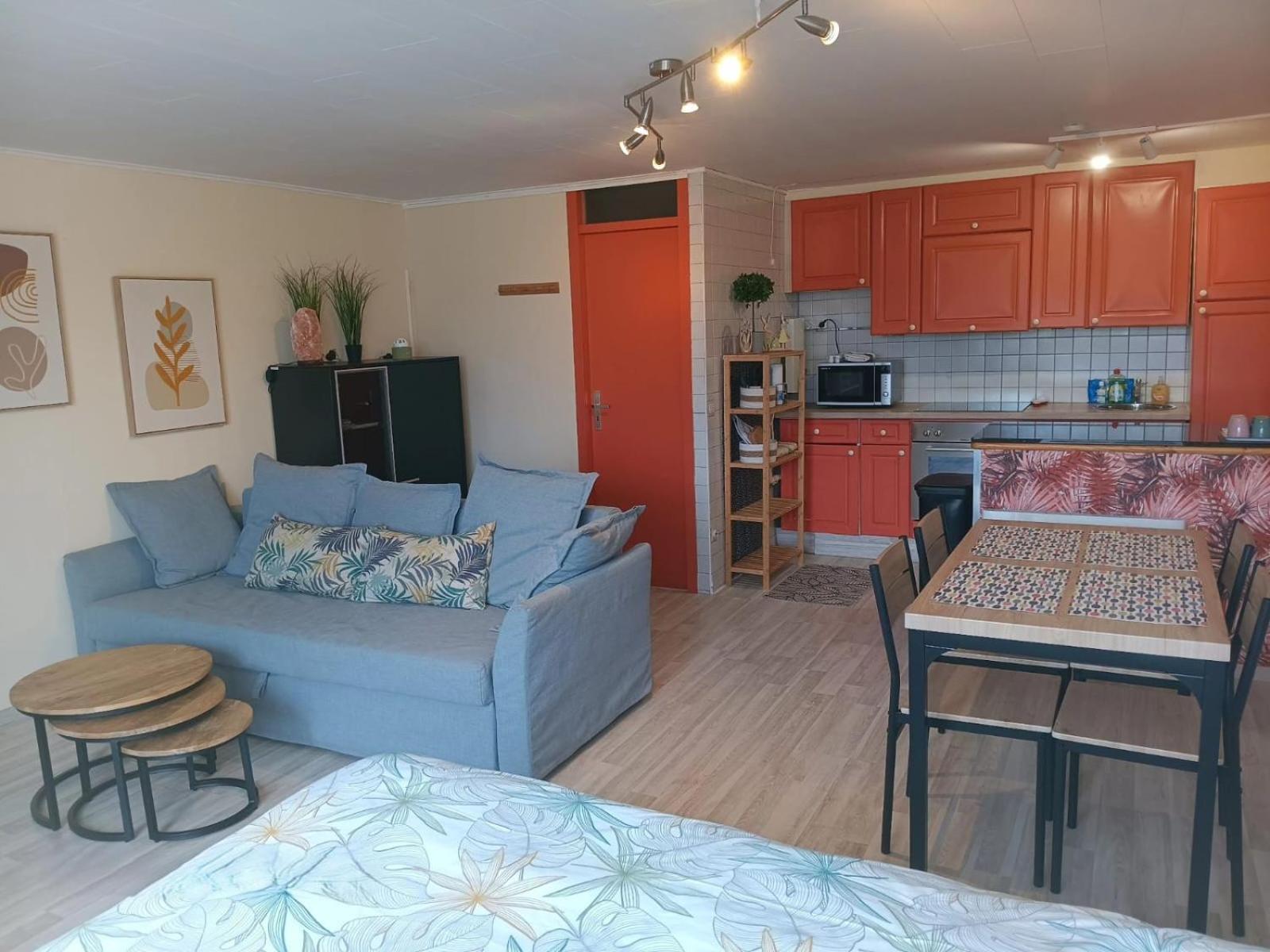3 Studios - 3 Ambiances - Tout Confort - Piscine Ouverte Juillet Aout - Zwembad Open July Augustus Han-sur-Lesse Room photo